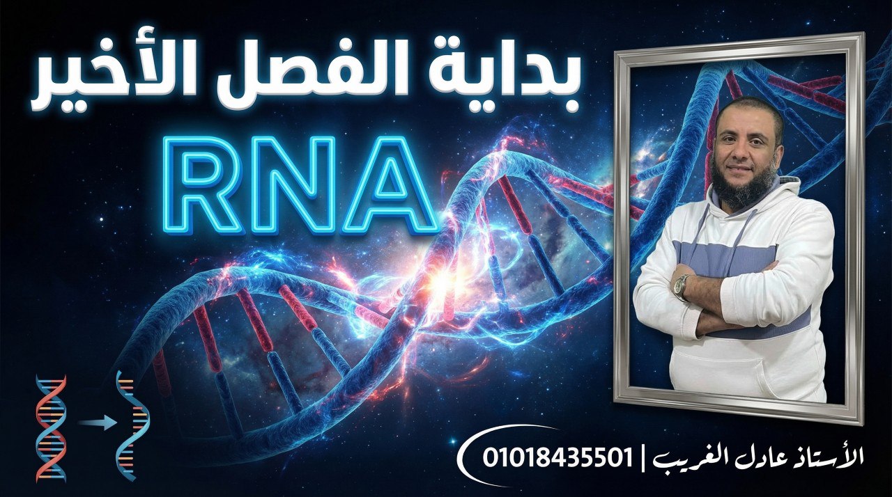باقة RNA
